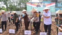 Polres Tanggamus Bersama Forkopimda Menanam Jagung