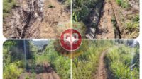 Detik-Detik Jabatan Kades Erpauzi Buka Jalan Usaha Tani, Diduga Adanya Penyelewengan Anggaran Tahun 2023