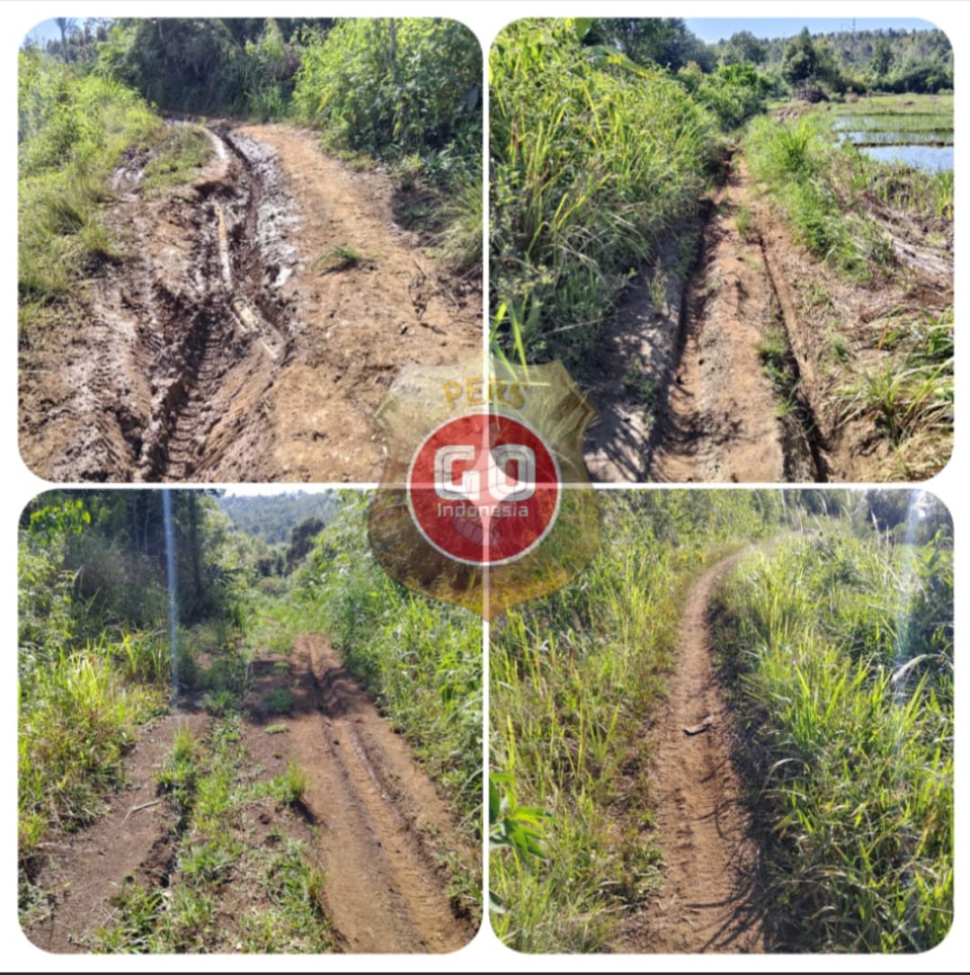 Detik-Detik Jabatan Kades Erpauzi Buka Jalan Usaha Tani, Diduga Adanya Penyelewengan Anggaran Tahun 2023