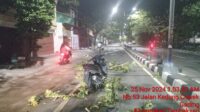Pohon Tumbang di Jalan Kedung Cowek, Pimpinan Redaksi Media Jadi Korban, DLH Surabaya Bungkam