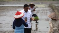 Wamentan Sudaryono Ungkap Pentingnya Cetak Sawah 3 Juta Hektar di Indonesia