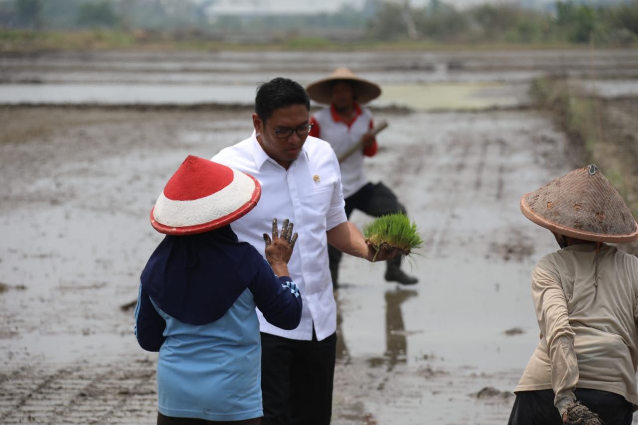 Wamentan Sudaryono Ungkap Pentingnya Cetak Sawah 3 Juta Hektar di Indonesia