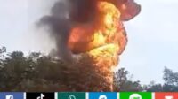 Aktivitas Illegal Drilling Semakin Marak di Tahura STS Jambi, Kebakaran Berulang Akibat Ulah Pelangsir Minyak