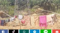 PETI di Kawasan Sutet PLN Merangin, Pemerintah dan Aparat Tutup Mata atas Ancaman Nyawa dan Infrastruktur!!