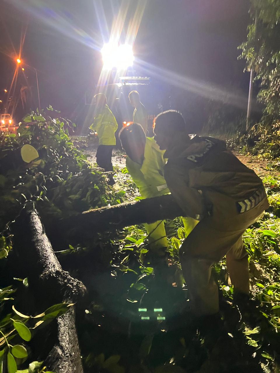 DIT SAMAPTA POLDA KEPRI EVAKUASI POHON TUMBANG AKIBAT HUJAN DISERTAI ANGIN KENCANG DI KOTA BATAM Batam – Hujan deras disertai angin kencang melanda Kota Batam, Provinsi Kepulauan Riau, pada Selasa (17/09/2024). Cuaca ekstrem ini menyebabkan beberapa pohon tumbang di sejumlah titik. Personel Dit Samapta Polda Kepri segera turun ke lapangan untuk mengevakuasi pohon-pohon tumbang tersebut dan memastikan arus lalu lintas kembali lancar. Terdapat empat titik lokasi kejadian pohon tumbang yang berhasil ditangani oleh tim Dit Samapta. Pada lokasi pertama di depan PLTU Punggur, Batam, pohon besar tumbang menutupi sebagian jalan raya dan menghambat arus lalu lintas. Personel Dit Samapta Polda Kepri segera melakukan pemotongan pohon hingga jalan kembali normal. Kemudian di lokasi kedua, Pohon tumbang di Jalan Raya Lampu Merah Putri Hijau, tepat di depan RS Graha Hermin, menyebabkan kemacetan sementara sebelum petugas berhasil membersihkannya. Selanjutnya di lokasi ketiga, Pohon tumbang di Jalan Raya tepat di perumahan Taman Asri Tiban, menyebabkan kemacetan dan di lokasi keempat di Montigo Resort, di mana sebuah pohon besar tumbang menimpa dua unit mobil, namun berhasil dievakuasi tanpa korban jiwa. Dir Samapta Polda Kepri Kombes. Pol. Joko Adi Nugroho, S.I.K., M.T., melalui Kabidhumas Polda Kepri Kombes Pol Zahwani Pandra Arsyad, S.H., M.Si., menyampaikan bahwa seluruh proses evakuasi dilakukan dengan cepat dan aman. seluruh personel telah bergerak sigap untuk memastikan keamanan dan kenyamanan masyarakat selama cuaca buruk berlangsung. Pihak kepolisian mengimbau masyarakat untuk selalu waspada terhadap kondisi cuaca ekstrem dan segera melaporkan kejadian yang memerlukan bantuan. “Kami mengapresiasi laporan cepat dari masyarakat, sehingga petugas dapat segera turun ke lapangan. Kami juga terus bersiaga untuk menghadapi potensi cuaca buruk di hari-hari mendatang," ujar Kabidhumas Polda Kepri Kombes Pol Zahwani Pandra Arsyad, S.H., M.Si. “Tidak terdapat korban jiwa dalam peristiwa ini, namun beberapa kerugian material tercatat, termasuk kendaraan yang rusak akibat tertimpa pohon tumbang dan arus lalu lintas di semua titik lokasi sudah kembali normal,” jelas Kabidhumas Polda Kepri Polda Kepri Kombes Pol Zahwani Pandra Arsyad, S.H., M.Si. “Polda Kepri akan terus berkomitmen untuk memberikan pelayanan yang terbaik demi keamanan dan kenyamanan bersama,” tutur Kabidhumas Polda Kepri Polda Kepri Kombes Pol Zahwani Pandra Arsyad, S.H., M.Si. Terakhir, Kabidhumas Polda Kepri Kombes. Pol. Zahwani Pandra Arsyad, S.H., M.Si., menambahkan pesan kepada masyarakat yang ingin mengadukan atau melihat peta kerawanan serta memerlukan bantuan kepolisian dapat menghubungi Call Center polisi 110 atau unduh aplikasi Polri Super Apps di Googleplay/APP Store. Salam Presisi Bidang Humas Polda Kepri