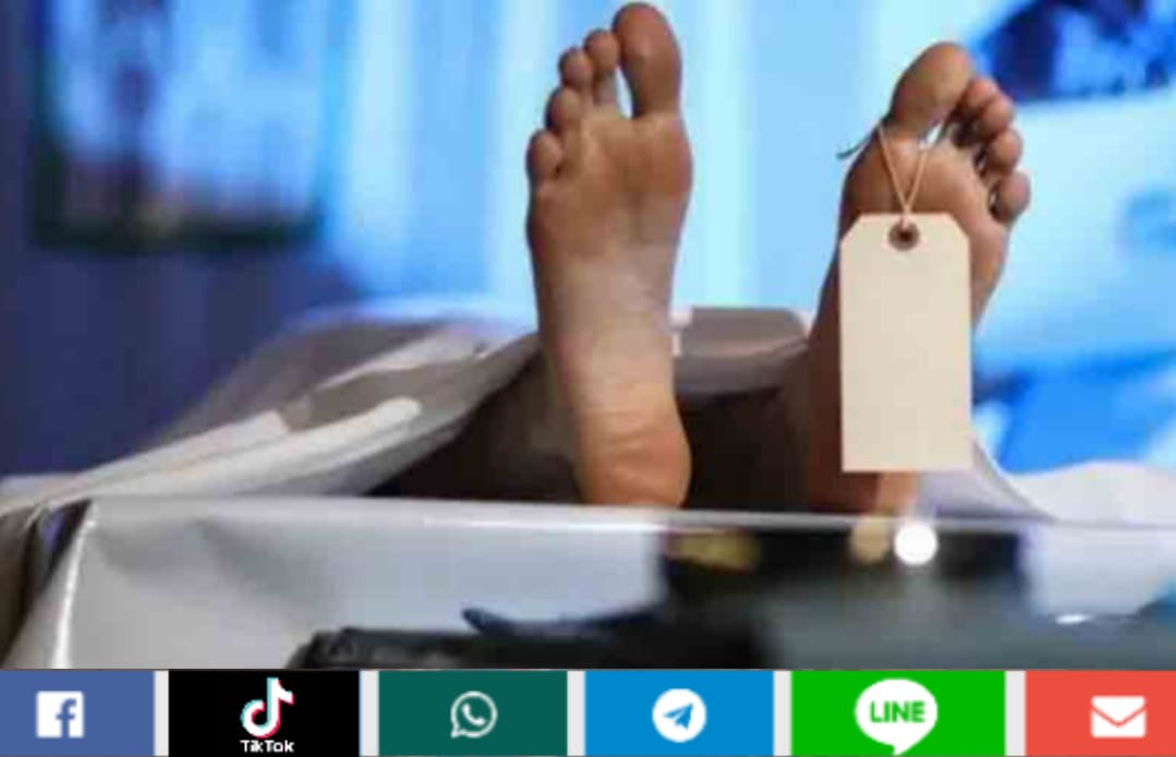 15 Penambang Emas di Solok Meninggal Tertimbun Longsor, 25 Lainnya Masih Terjebak