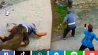 Babi Hutan Mengamuk di Permukiman Sungai Geringging, Dua Warga Luka Parah
