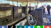 Polres Muaro Jambi Tindak Lanjut Gudang Minyak Diduga Ilegal yang Viral di Media Sosial