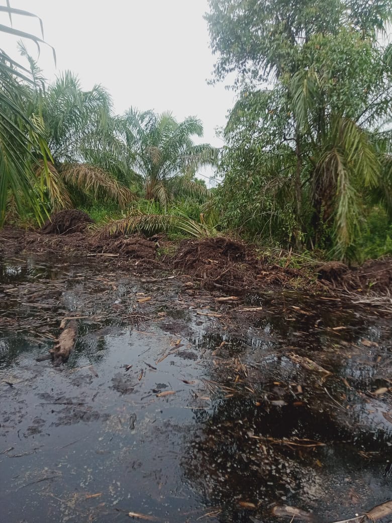 Diduga Kapolres Asahan telah tutup mata mengenai laporan perusakan tanaman dan lahan masyarakat desa teluk dalam dusun I
