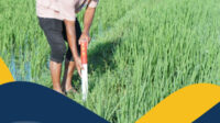 Berperan dalam Reforma Agraria, Badan Bank Tanah Diharap Mampu Wujudkan Pemerataan Ekonomi dan Ketahanan Pangan