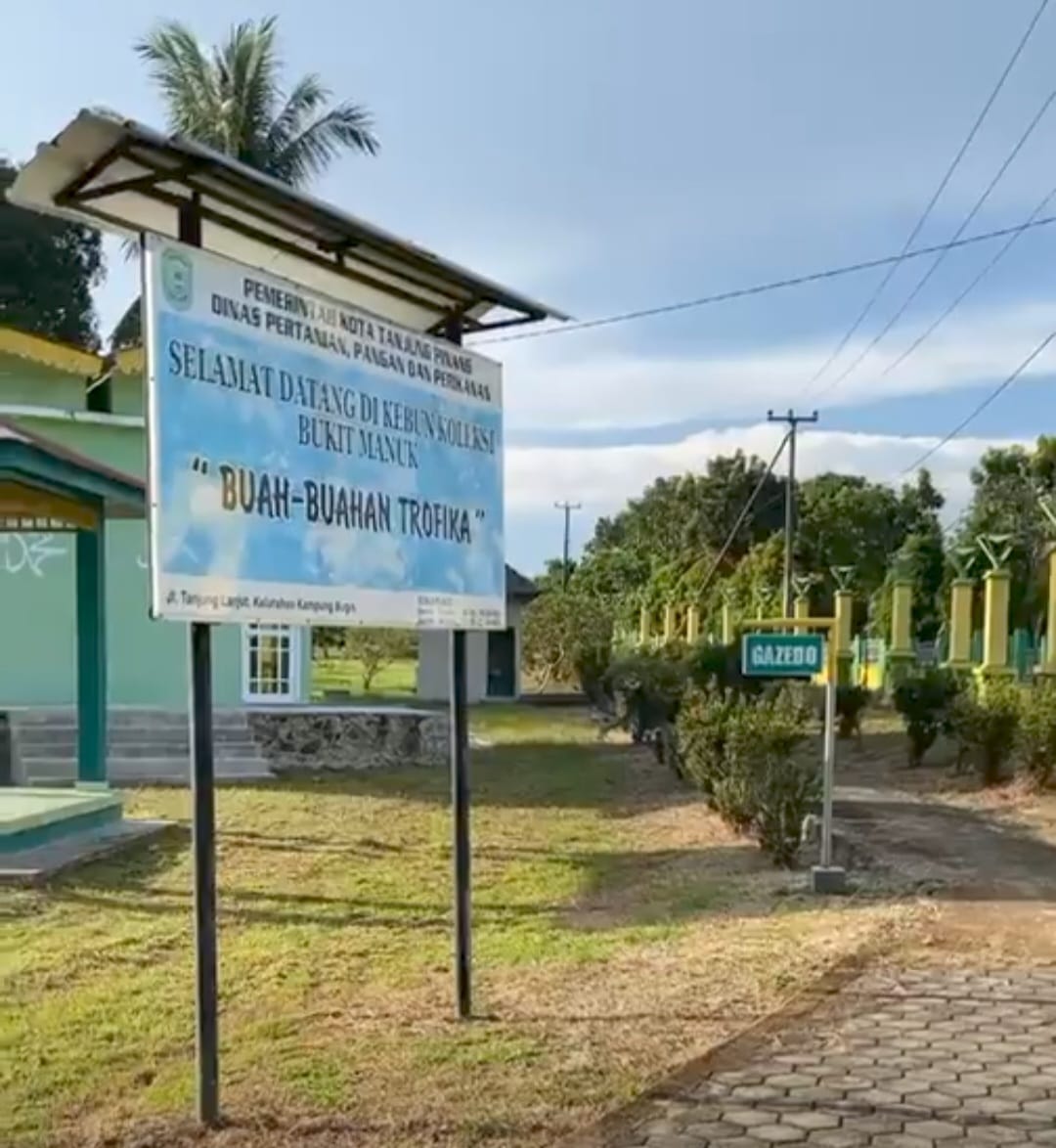 1 2015