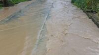 Hujan Deras di Kecamatan Pulau Tiga Barat Sebabkan Banjir di Beberapa Titik