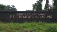 PT.TKA Bantah tudingan merampas tanah ulayat di timpeh, itu Berita mengada-ada alias Bohong