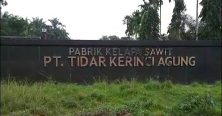 PT.TKA Bantah tudingan merampas tanah ulayat di timpeh, itu Berita mengada-ada alias Bohong