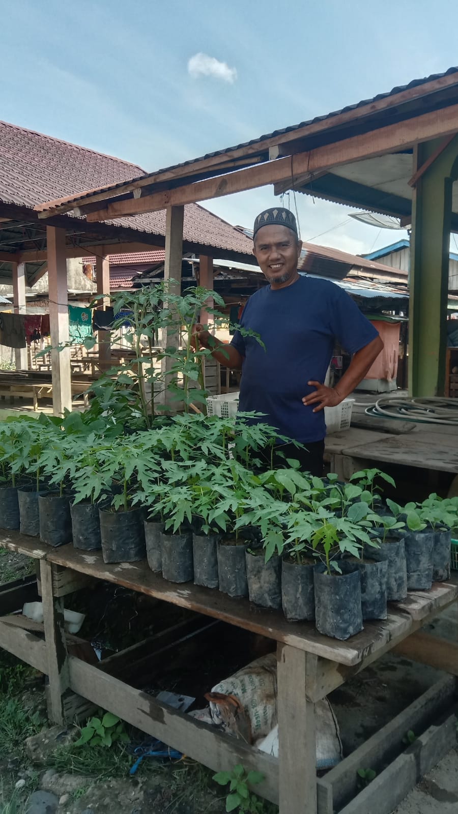 Hendra Gusti: Tanam cabe organik dilahan kritis mengunakan limbah pasar dan kotoran sapi