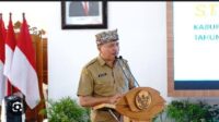 Penyediaan Layanan Kesehatan Untuk UMKM dan UKP Rujukan Tingkat Daerah