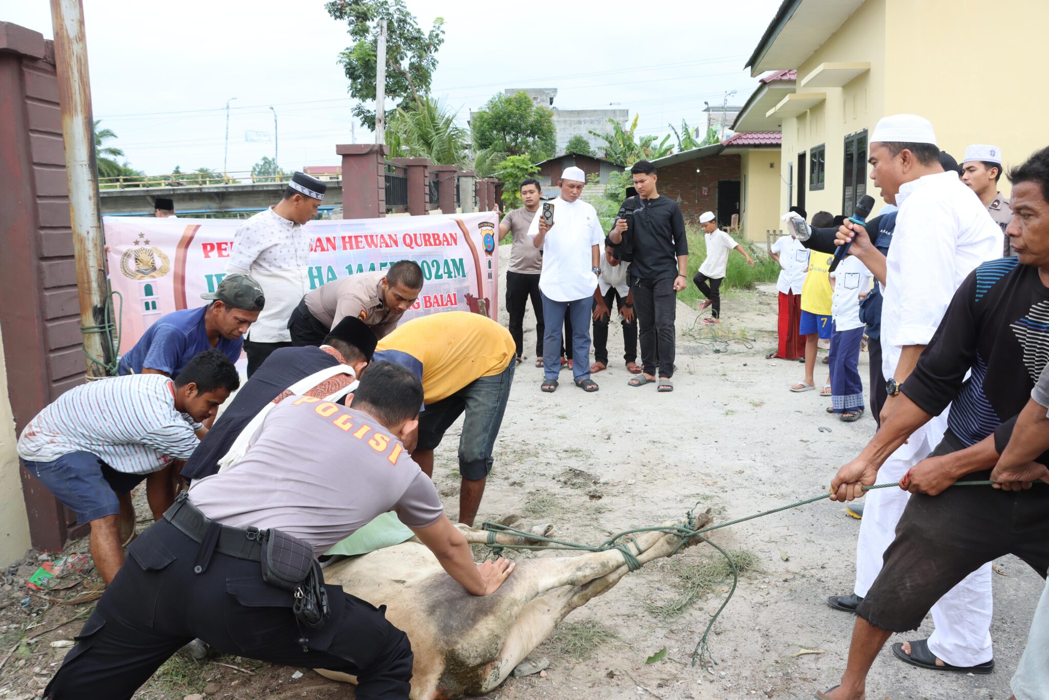 Berbagi Pada Hari Idul Adha, Polres Tanjung Balai Sembelih Hewan Qurban