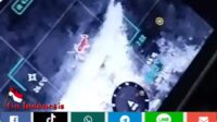 Kronologis Warga Jambi Tangkap Sapi Kurban Lepas Pakai Drone, 1 Hari Baru Ditemukan