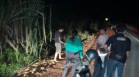 Tentang : HOAX, Seorang Wanita Mengaku Dibegal di Bintan, Ternyata Bohong