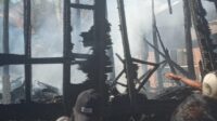 Si Jago Merah Makan Korban Di Desa Lumban Dolok Kecamatan Siabu Mandailing Natal