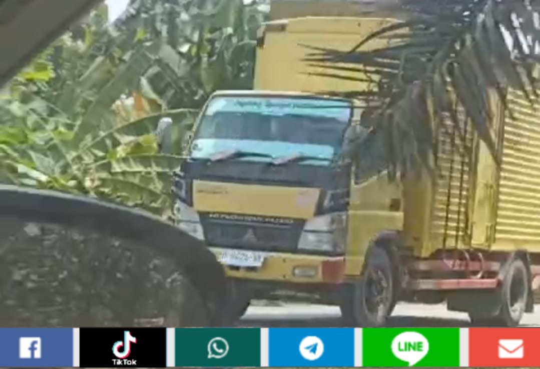 Lemahnya Penegakan Hukum, Jambi Jadi Surga Peredaran Rokok Ilegal