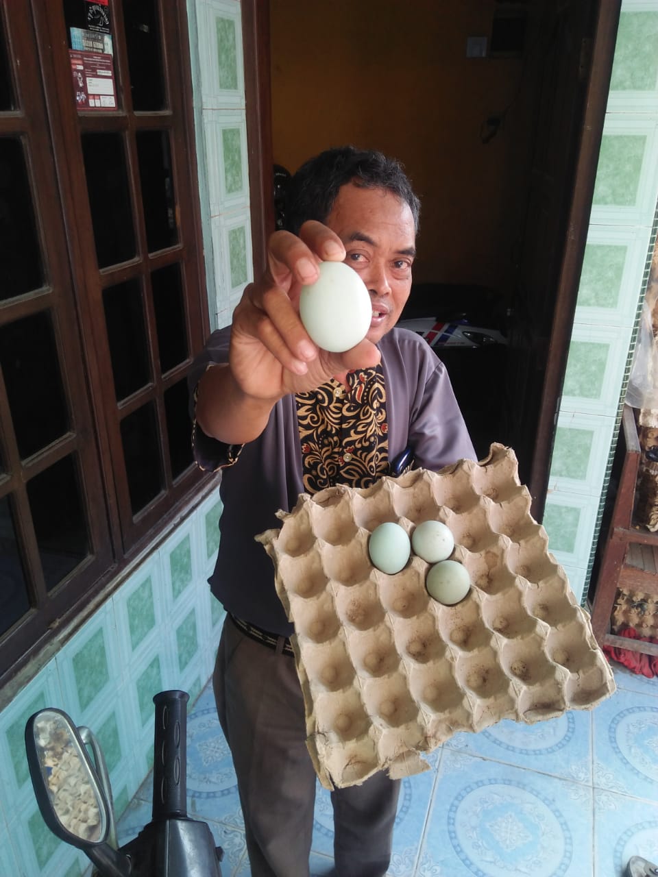 Fluktuasi Harga Telur dan Daging Bebek
