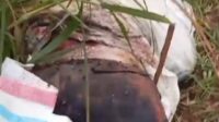 Geger..!!, Penemuan Sesosok Mayat Pria Yang Sudah Membusuk Didesa Sungai Gelam