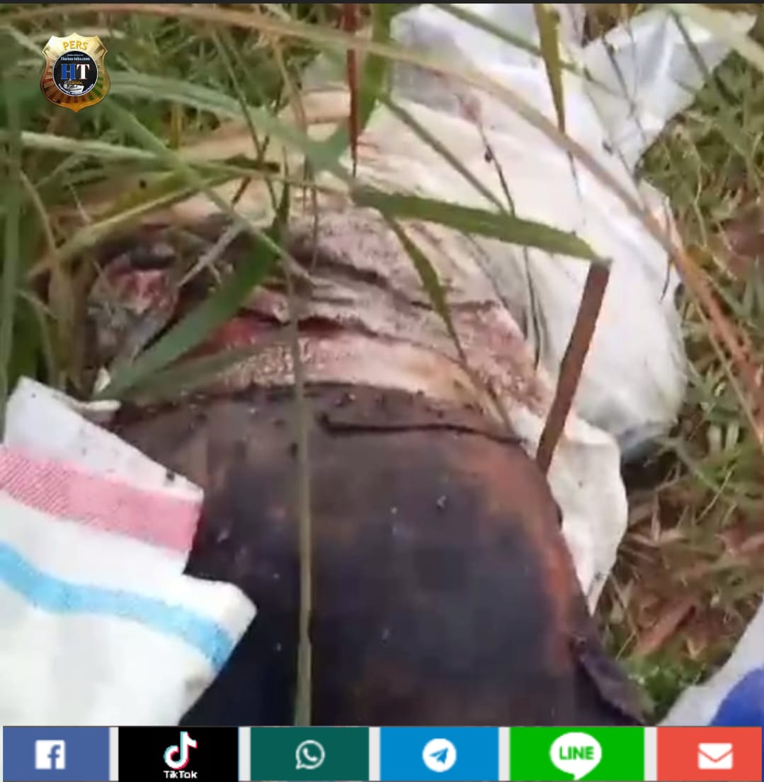 Geger..!!, Penemuan Sesosok Mayat Pria Yang Sudah Membusuk Didesa Sungai Gelam