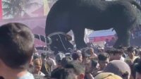 Adat dan Tradisi, Budaya Kebo-Keboan Yang Tak Usang Oleh Waktu