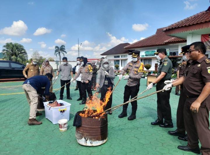 Kajari dan Forkopimda Bateng Musnahkan Ratusan Gram Sabu, Ganja dan 109 Butir Ekstasi.
