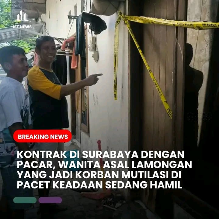 1AA 50