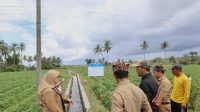 1AA 93