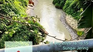 1aa 124 e1789623573242