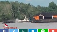 Tarik Tongkang Batu Bara, Tagboat Sumber 4 Tengelam di Simpang 3 Tembesi
