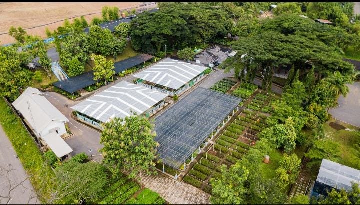 Bukit Asam (PTBA) Menuju Perusahaan Energi Kelas Dunia yang Peduli Lingkungan