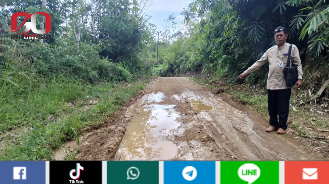 Belum Terlihat Rencana Perbaikkan Jalan Desa Talang Paruh Oleh Pemerintah Daerah kabupaten Merangin