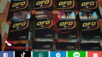 Rokok Ilegal Bebas Beredar Luas di Desa Limau Manis Kecamatan Kemuning Kabupaten Indragiri Hilir