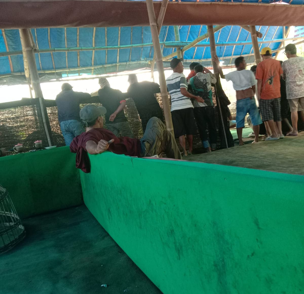Didi Sungkono : Kapolda Jatim Diharapkan Bersihkan Judi Sabung Ayam di Wilayah Kab.Kediri dan Kota Batu