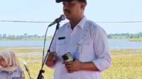 Ini Solusi Darurat Kementan Atasi Dampak Banjir Di Pati