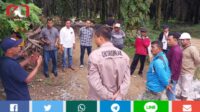 Gawat.!!! Kecewa Karena Diabaikan Pemkab Tanjab Barat, Kelompok Tani Mandiri Akan Gelar Aksi Demo Besar-Besaran