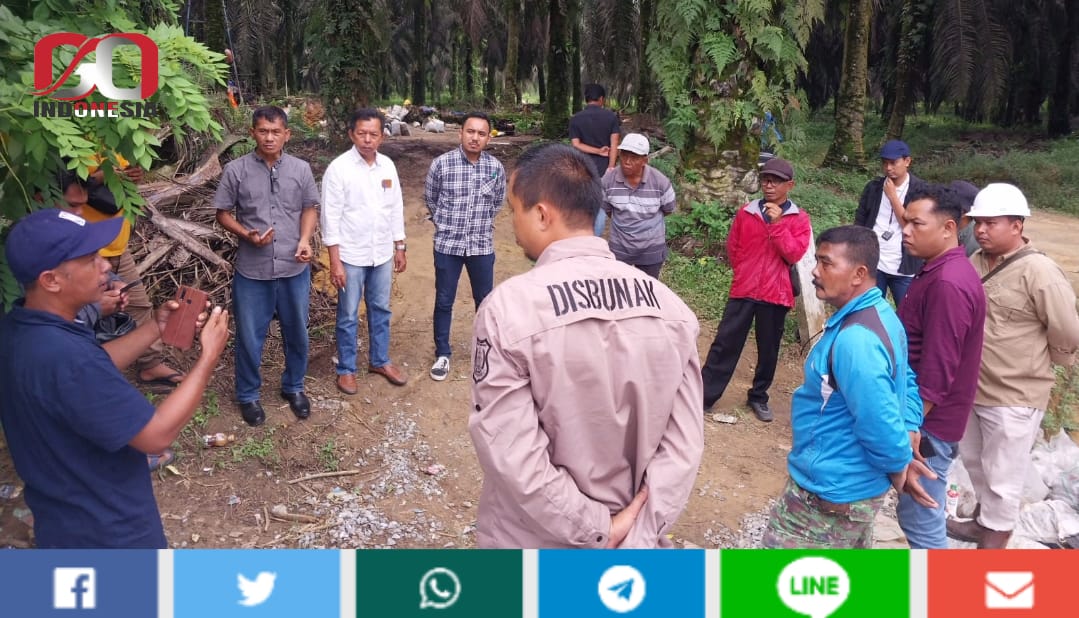 Gawat.!!! Kecewa Karena Diabaikan Pemkab Tanjab Barat, Kelompok Tani Mandiri Akan Gelar Aksi Demo Besar-Besaran