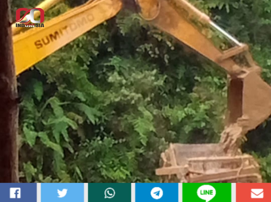 Oknum Penambang Emas Ilegal, Diduga Keroyok Warga Jangkat Sampai Menyekik Leher