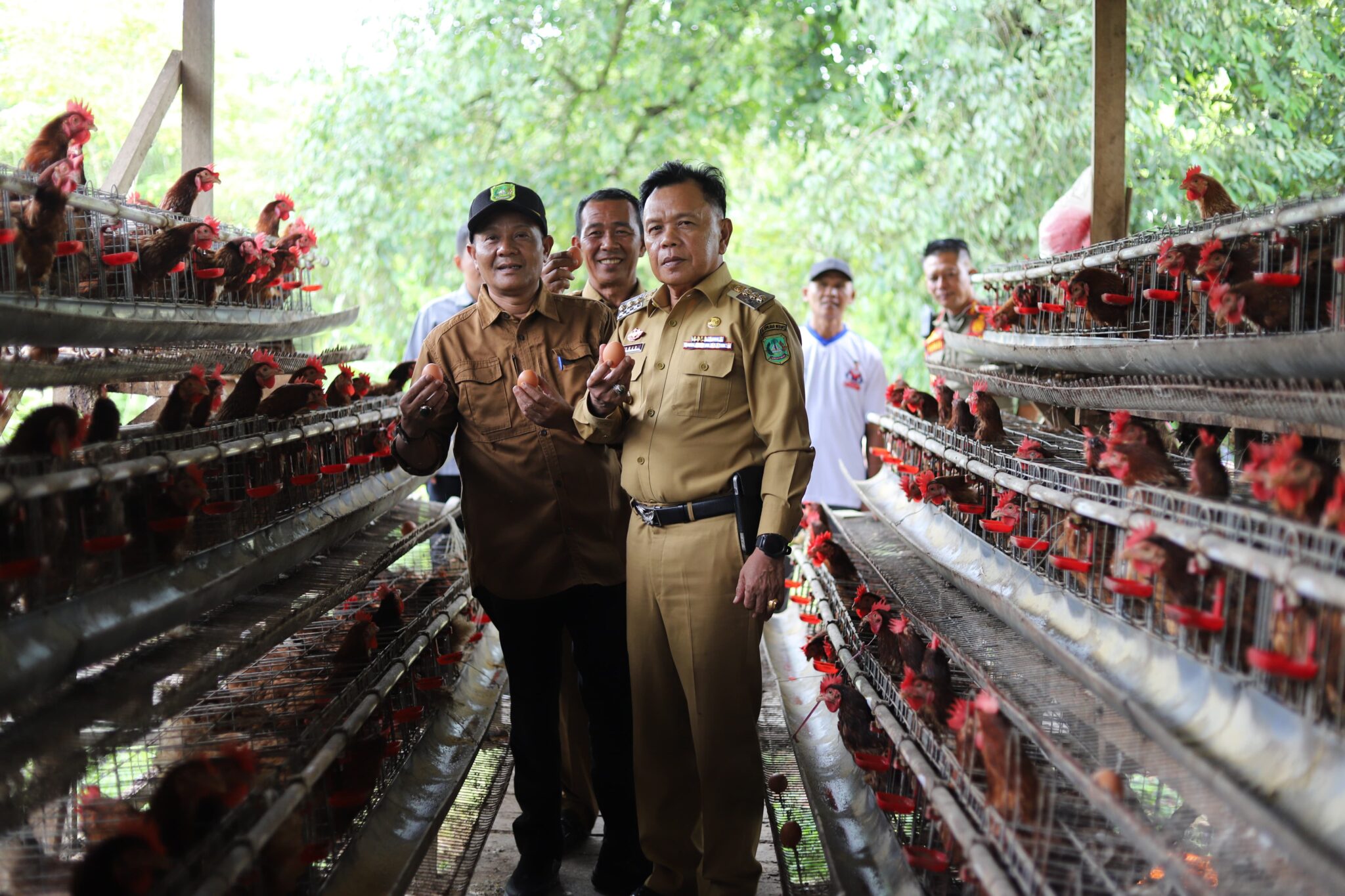 H Asmar Plt Bupati Meranti Kunjungi Kelompok Peternak Ayam Petelur di Batang Malas
