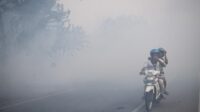 Gumpalan Kabut Putih dari Arah Gunung Larantuka Buat Cemas Warga Pasilambena