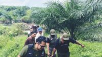 Polres Bangka Barat Tetapkan 2 Tersangka Pelaku Penambangan Ilegal di Perkebunan Kelapa Sawit GSBL