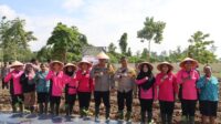 Program Cegah Stunting, polres teluk bintuni melaksanakan ketahanan pangan di kebun Bhayangkari polres teluk Bintuni.