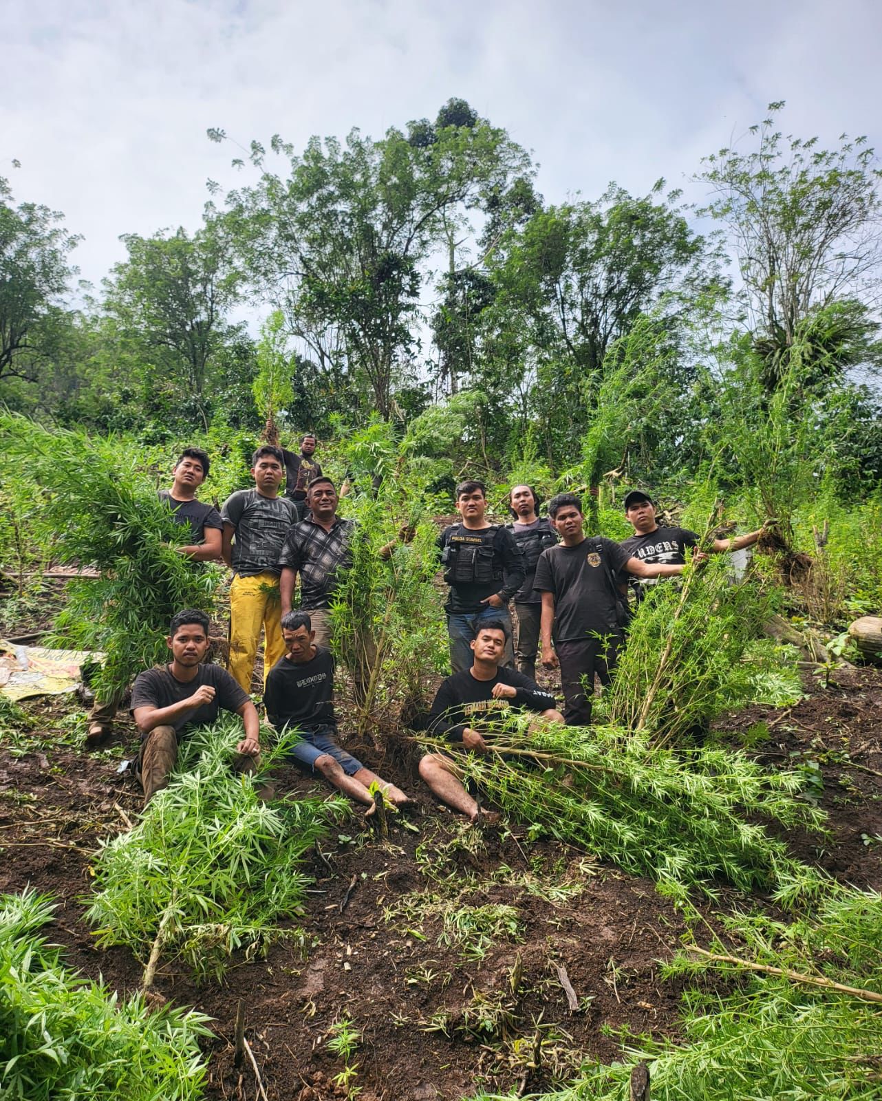 Dramatis 9 jam Berjalan Kaki, Kapolres Empat Lawang Pimpin Anggota Temukan 2 Hektar Ladang Ganja.