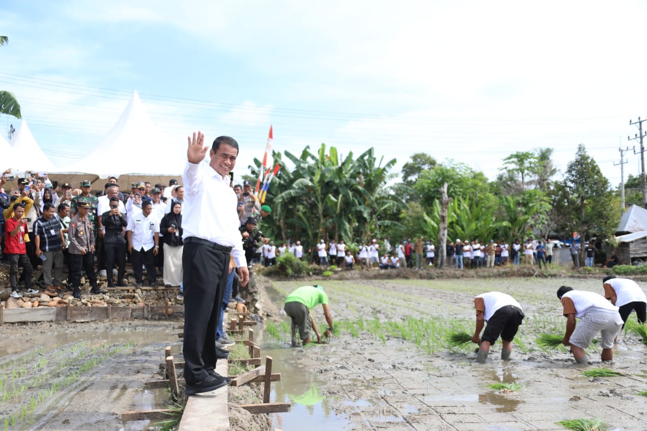 Kementan Dan Bappenas Mengajak Semua Stakeholder Menyambut Masa Panen Raya 2024