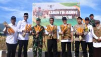 Kerjasama Kementan - TNI Percepat Swasembada, Amran Panen dan Tanam Jagung di Aceh