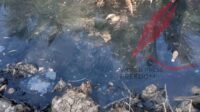 Diduga Buang Limbah Ke Anak Sungai, Beranikah DLH Provinsi Jambi Tindak PT. Sumber Waras